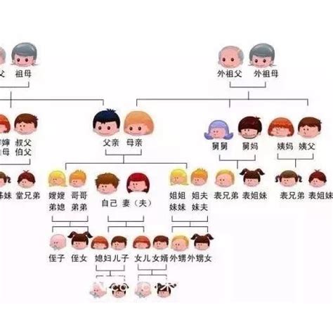 家庭圖關係線|製作親屬關係圖，完美勾勒關係